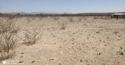 Terreno Venta Carretera Libre Chihuahua – Juárez 300,000 Evehue GL5