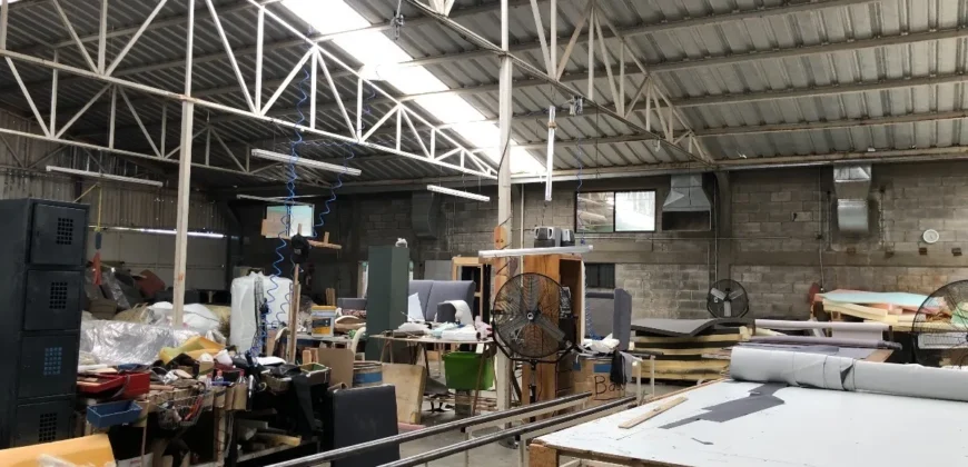 Bodega Las Ánimas Venta 11,500,000 GL1