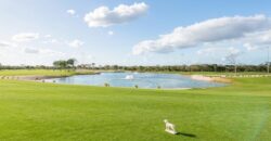 Terreno Residencial Venta Provincia Mérida 2,571,807 Gl2