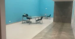 Local Comercial – Oficina Renta Plaza San Angel 55,000 Gl7