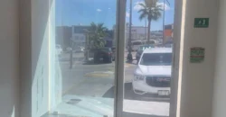 Local Comercial – Oficina Renta Plaza San Angel 55,000 Gl7