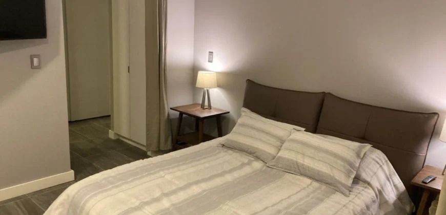 Departamento Venta Metrolofts – Distrito Uno (D1) – 6,200,000 Gl2