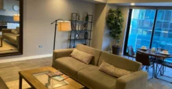 Departamento Venta Metrolofts – Distrito Uno (D1) – 6,200,000 Gl2